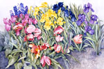 floral paintings-watercolor on paper