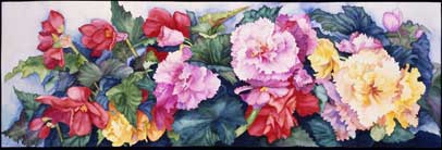 Begonia Garden giclee