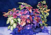 Coleus II giclee