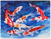 Koi giclee
