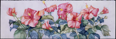 Hibiscus #4 giclee