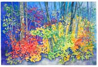 Santiam Splendor giclee