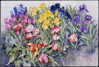 Spring Spectrum giclee