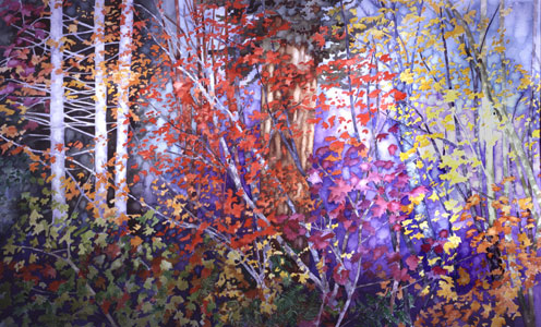 Santiam Forest watercolor on paper